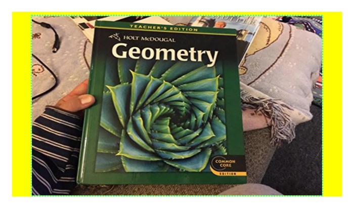 Holt mcdougal geometry textbook pdf