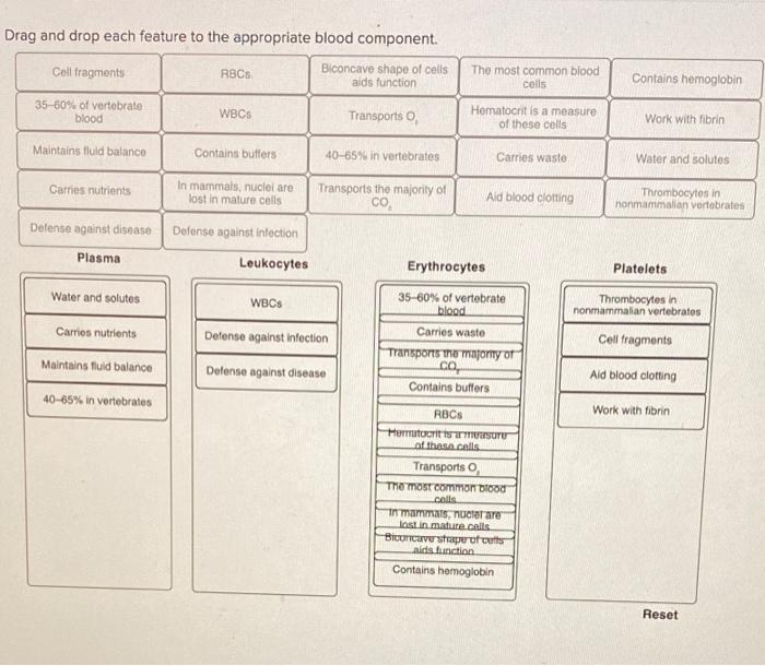 Drag and drop each feature to the appropriate blood component