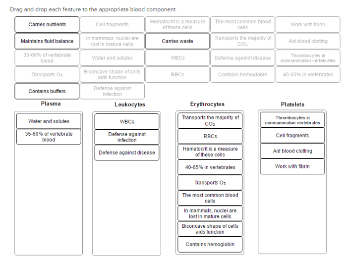 Drag and drop each feature to the appropriate blood component